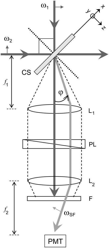 FIGURE 3