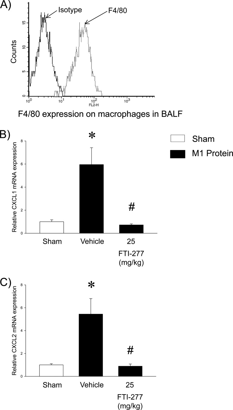 Fig 5