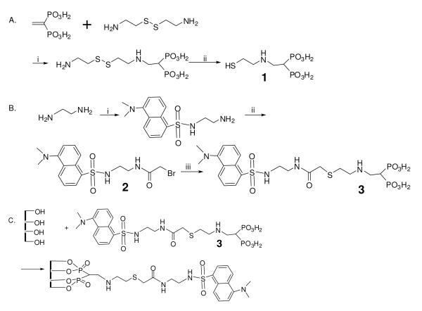 Scheme 1