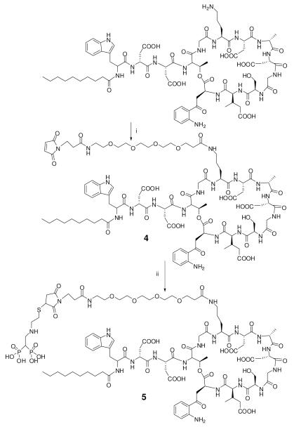 Scheme 2