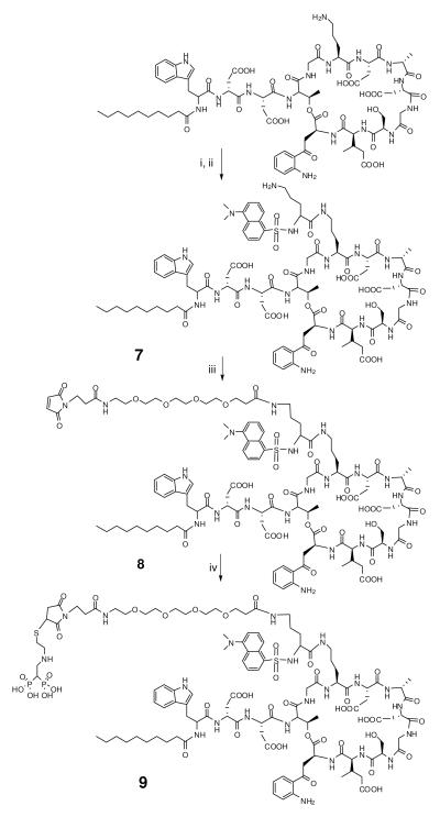 Scheme 3