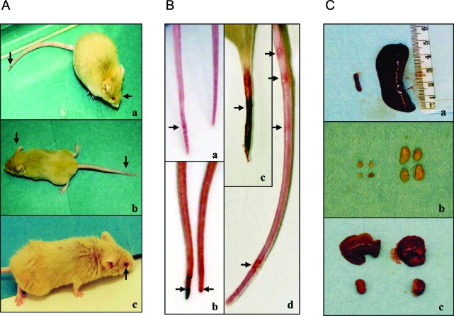 Figure 2-6870