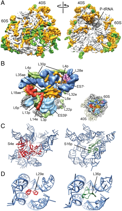 Fig. 4.