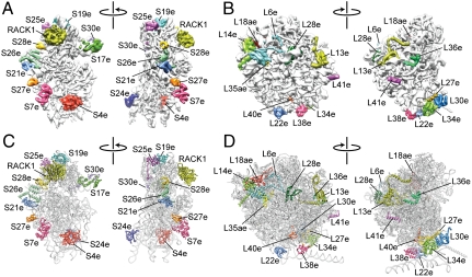 Fig. 2.