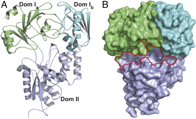 Fig. 2.