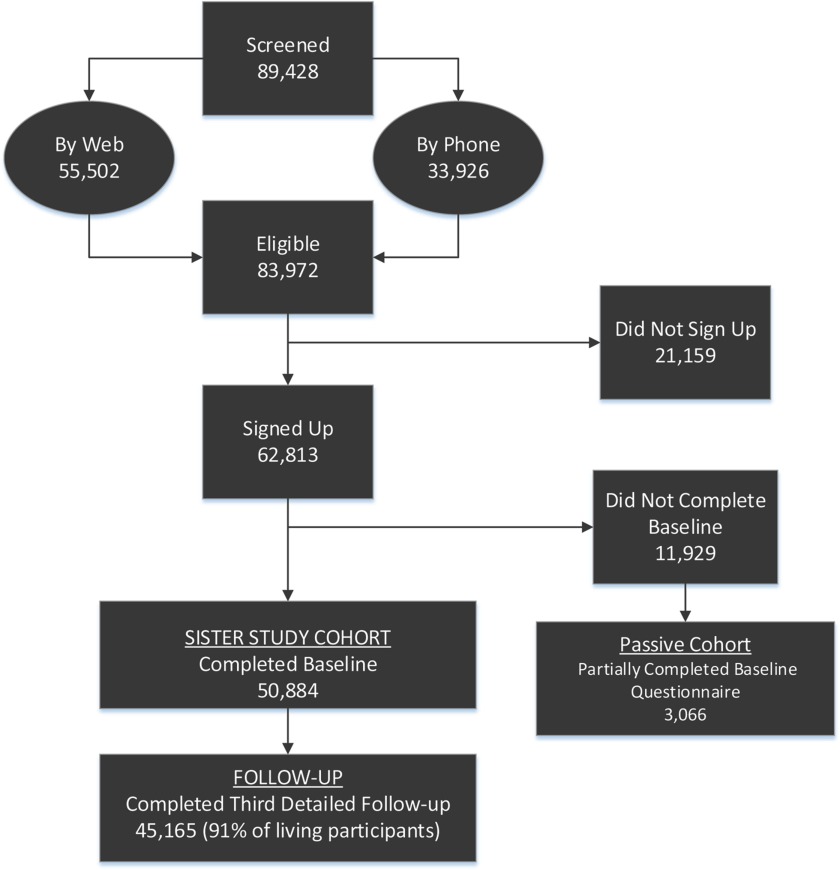 Flow chart showing enrollment and retention of participants.