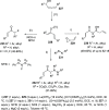 Scheme 41
