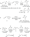 Scheme 4