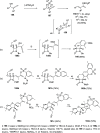 Scheme 30