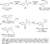Scheme 58