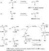 Scheme 46