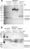 FIG. 5.
