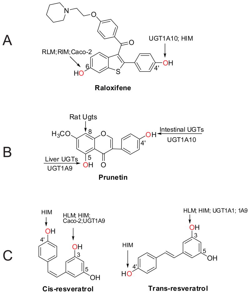 Figure 10