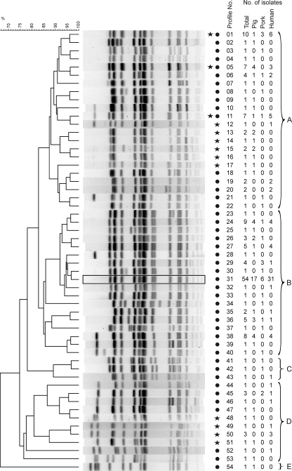 FIG. 1.