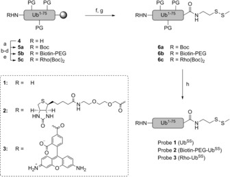 Scheme 2