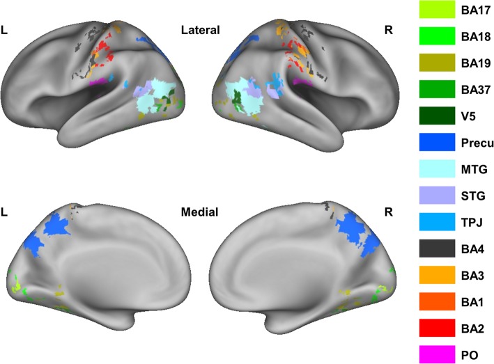 Fig. 2