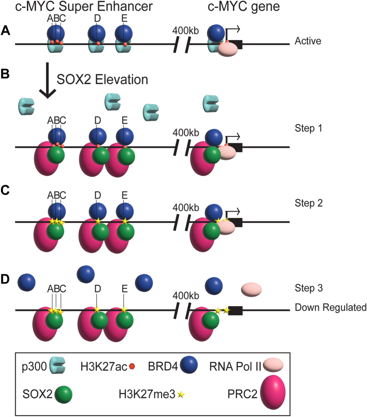 Figure 7