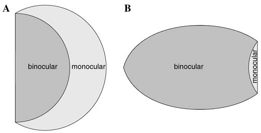 Fig. 17