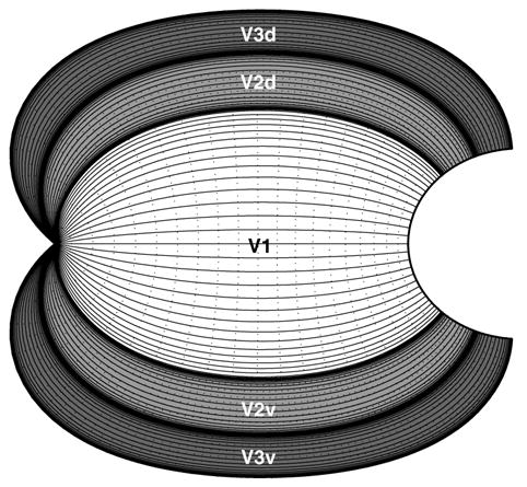 Fig. 18