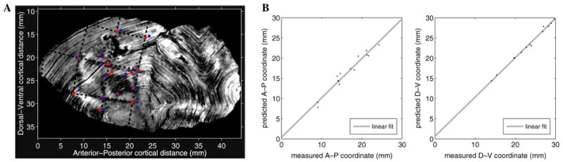 Fig. 12