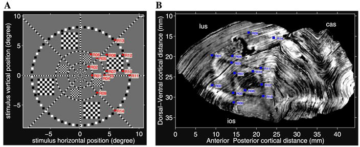 Fig. 11