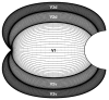Fig. 18