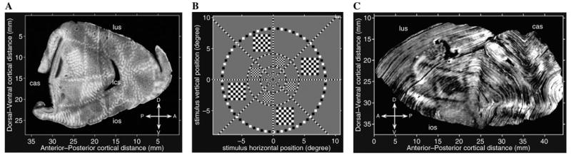 Fig. 10