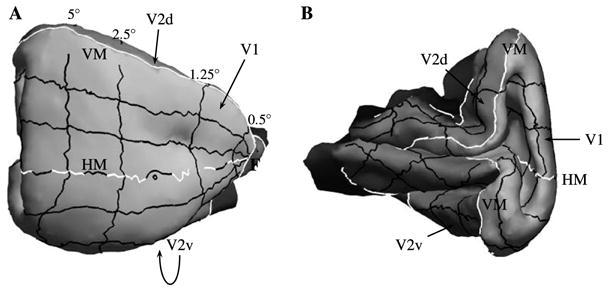 Fig. 13