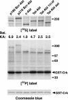 FIG. 3.