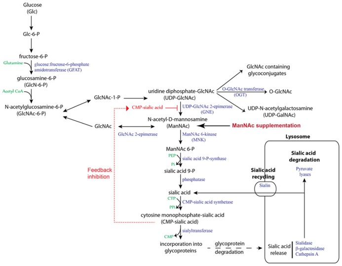 FIGURE 3