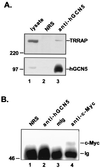 FIG. 5