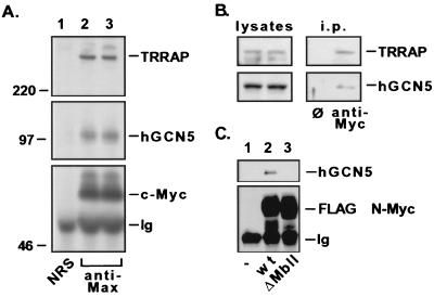 FIG. 3