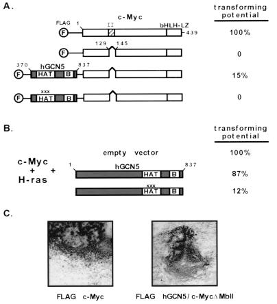 FIG. 6