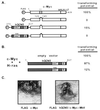 FIG. 6