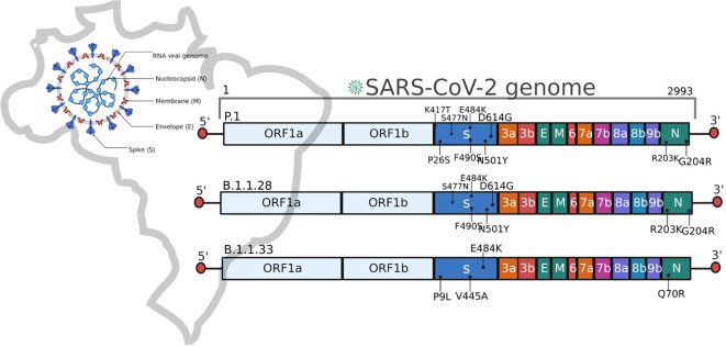 Figure 2