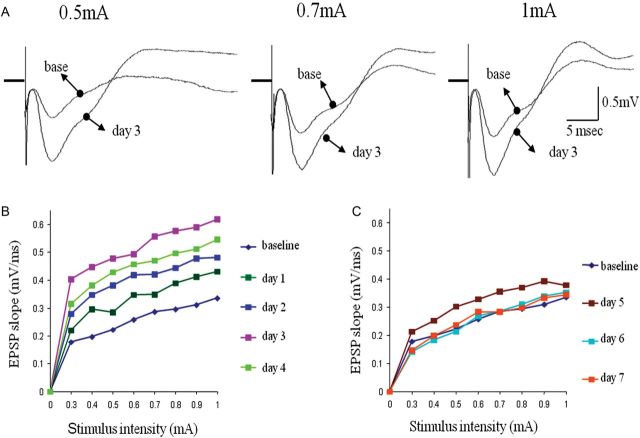 Figure 6.