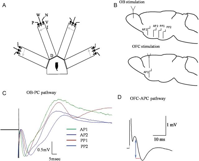 Figure 1.