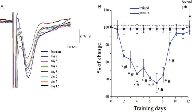 Figure 7.