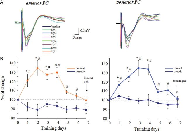 Figure 3.