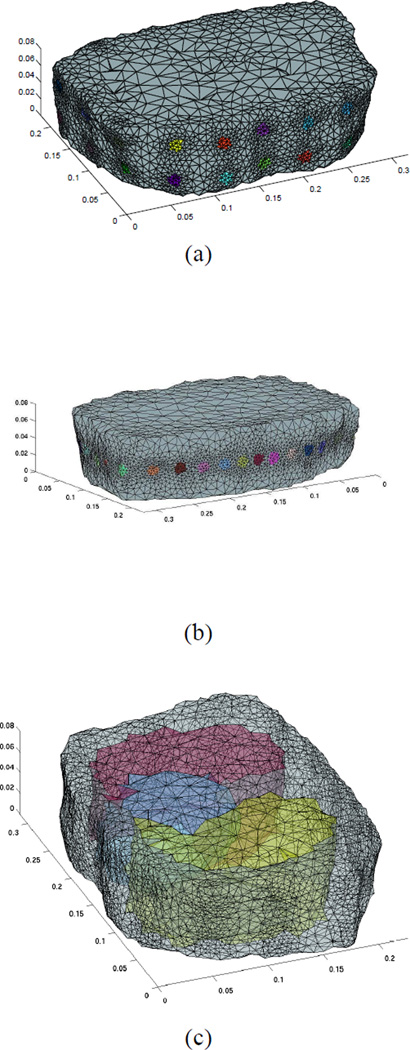 Fig. 1