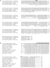 Figure 2—figure supplement 1.