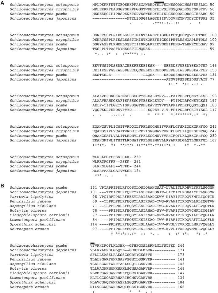 Figure 2—figure supplement 1.