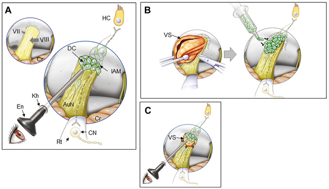 Figure 5.