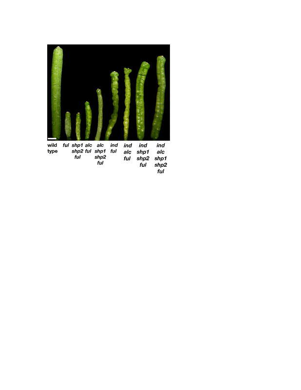 Figure 22.