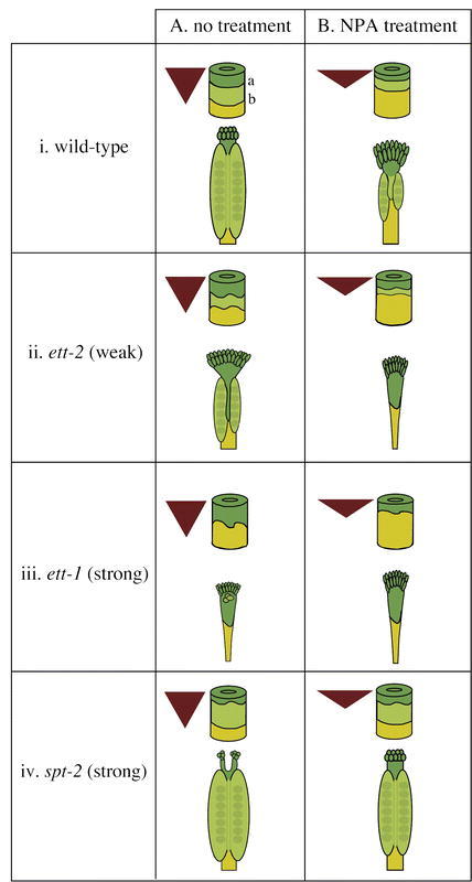 Figure 33.