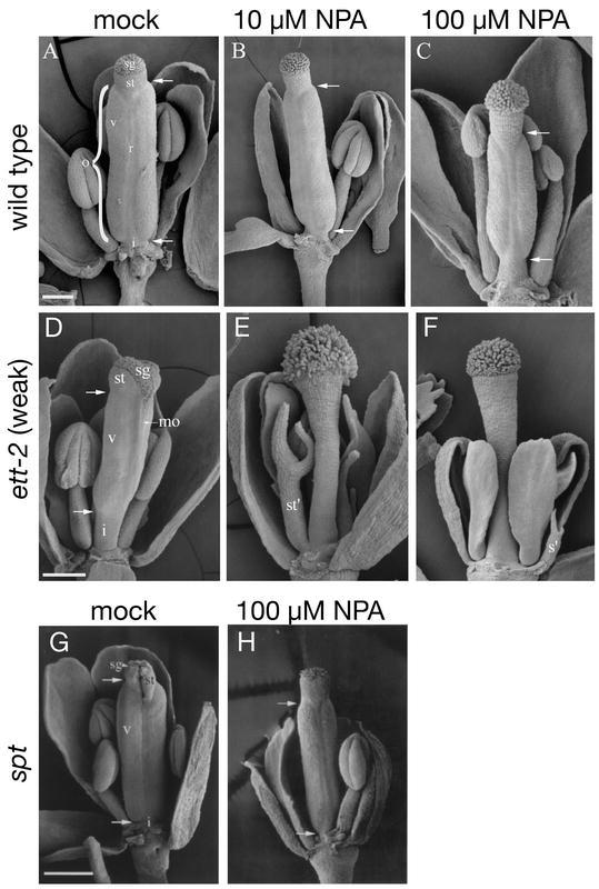 Figure 36.