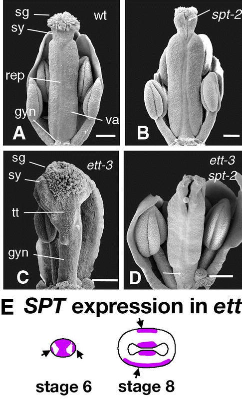 Figure 34.