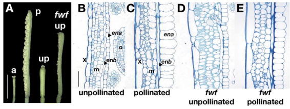 Figure 40.