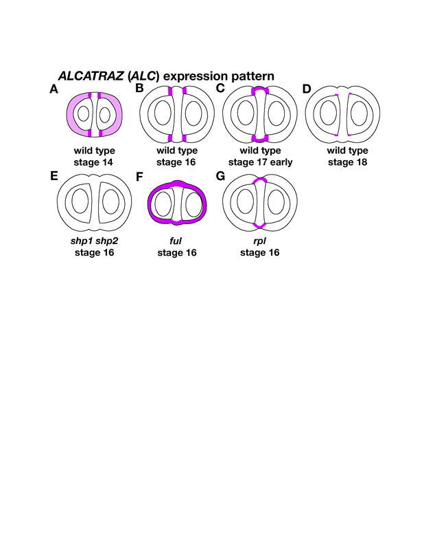 Figure 16.