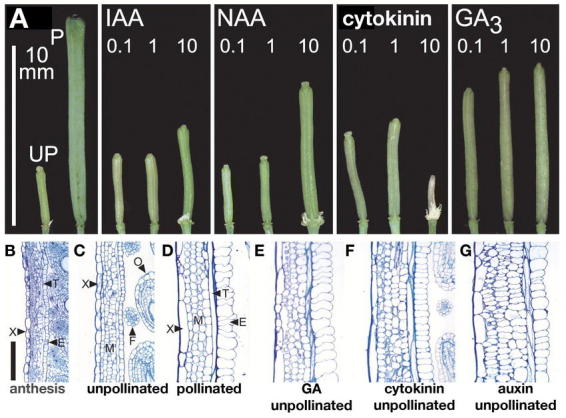 Figure 38.